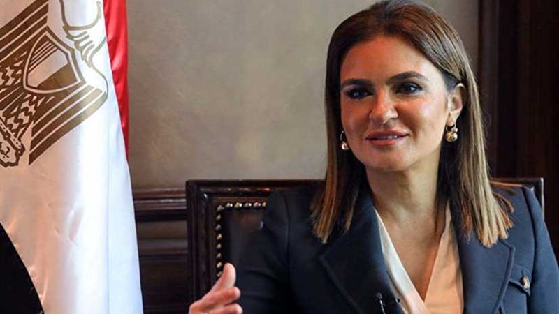 وزيرا الاستثمار والمالية