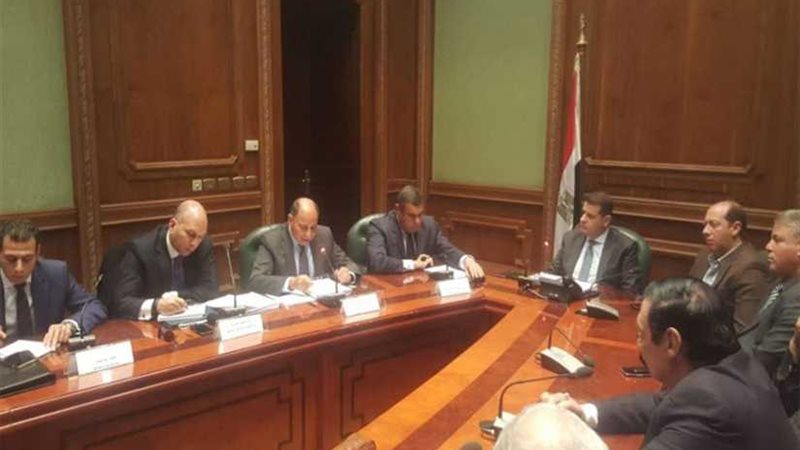 مجلس مصري- إفريقي