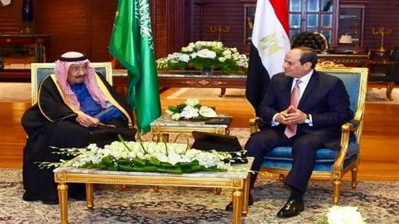 خبير: الشراكات المصرية-