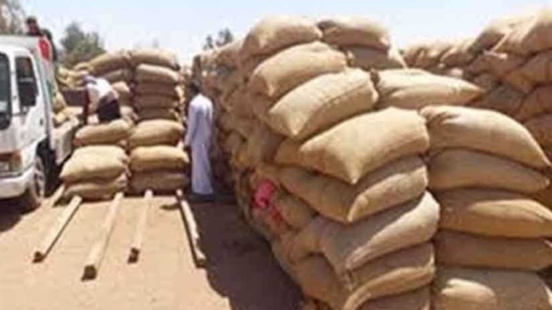 زراعة 118 ألف فدان