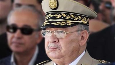 رئيس الأركان الجزائري يبحث مع وزيرة الدفاع الإيطالية التعاون المشترك