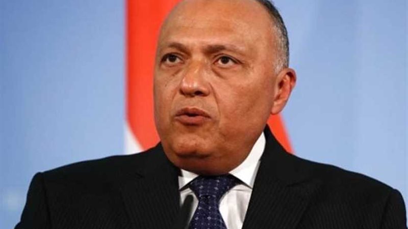 شكري يلقي كلمة مصر