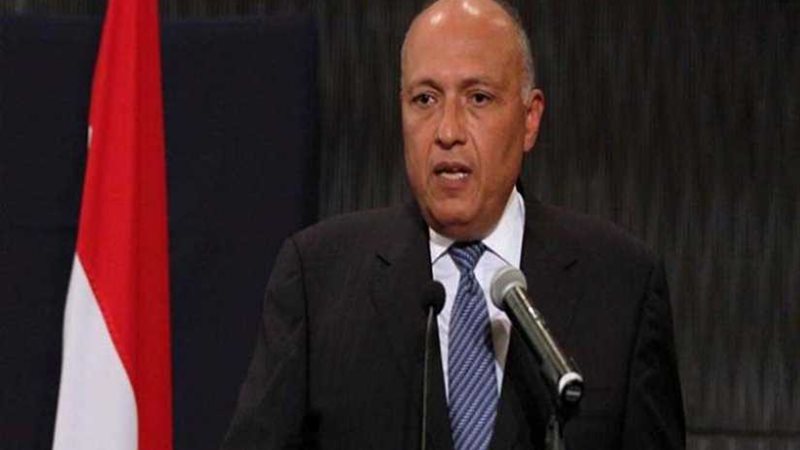 شكرى : نرفض أي حلول