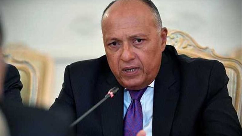 شكري: المشاركة الواسعة