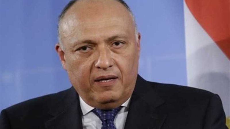 شكري يشارك غدا في