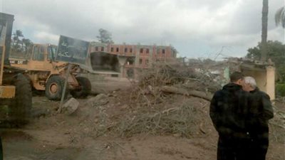 شجرة تقطع طريق مصر- إسكندرية بطنطا