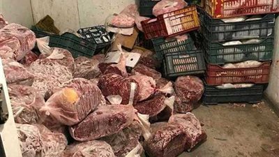 ضبط 20 طن لحوم وأسماك ودواجن فاسدة