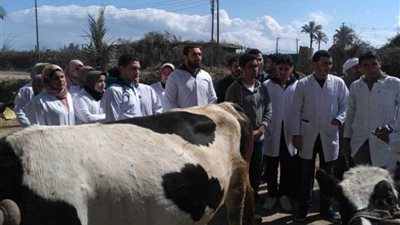 جامعة دمنهور تنظم قافلة بيطرية بمركز الدلنجات 