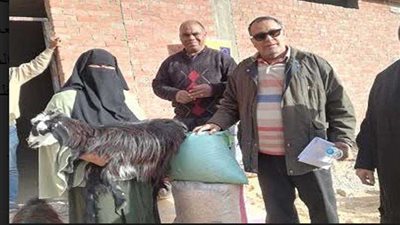 2654 رأس ماعز وبط لمعيلات بني سويف