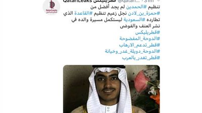 نكشف العلاقة السرية بين تنظيم القاعدة ونظام الحمدين