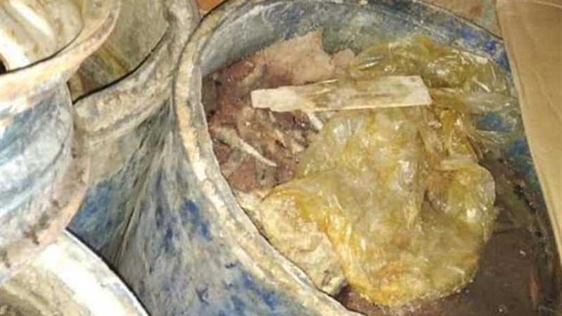 ضبط 5 آلاف كيلو سردين