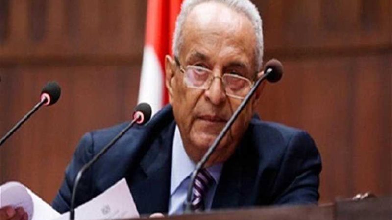 الوفد يتبنى إنشاء