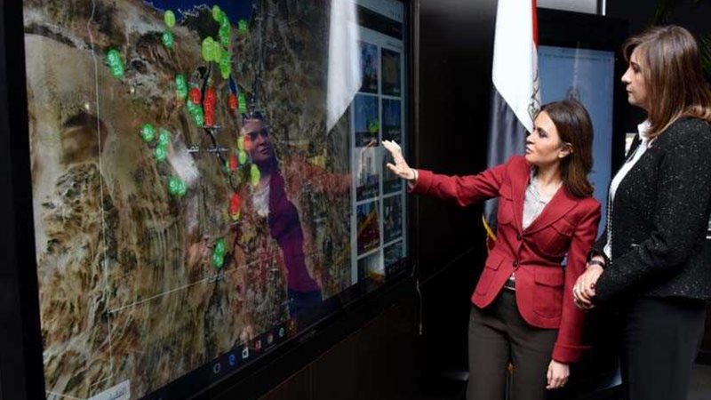 اللجنة التنفيذية