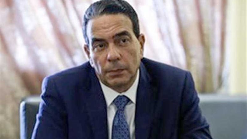 رئيس برلمانية المصريين