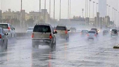 الأرصاد: طقس غير مستقر حتى نهاية الأسبوع مع سقوط الأمطار (فيديو)