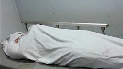 بعد 4 سنوات من مقتل شقيقه.. مزارع يذبح مسنًا أخذا بالثأر في مغاغة