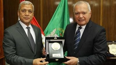 العرابي: رئاسة مصر للاتحاد الإفريقي للقضاء على التطرف