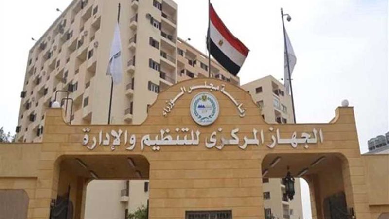 التنظيم والإدارة