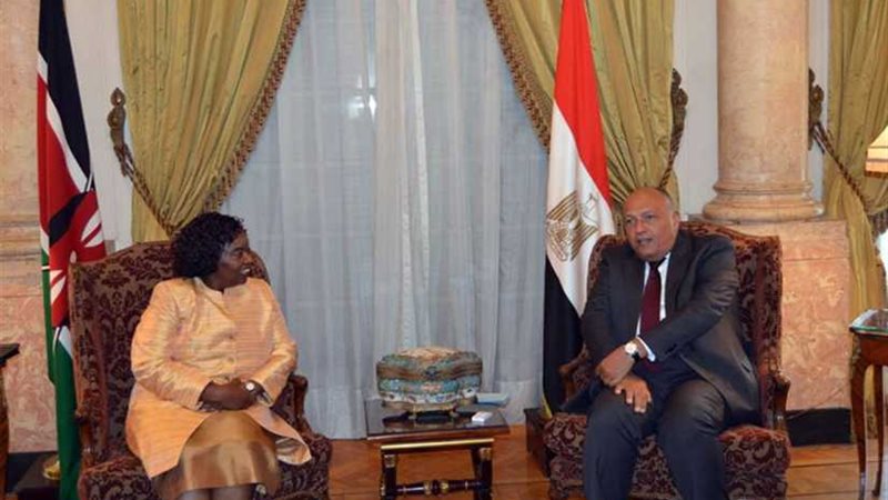 وزير الخارجية يبحث