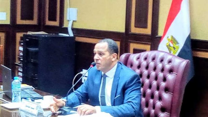 صالح: الرئيس السيسي