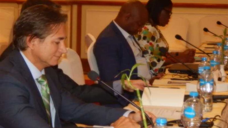 انطلاق فعاليات لجان