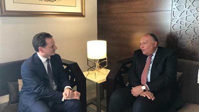 شكري يبحث مع مفوض 