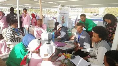 ورشة عمل مصرية جنوب إفريقية عن الابتكار في المياه والطاقة