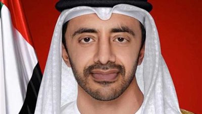 وزير الخارجية الإماراتي : حريصون على دور عربي في سوريا سياسيا أو أمنيا