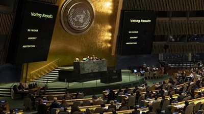 الأمم المتحدة في فيينا تحتفل باليوم العالمي للمرأة