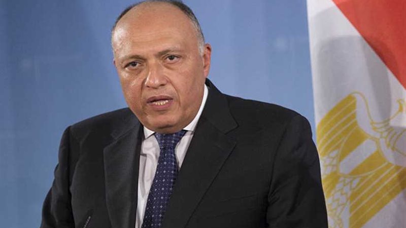 مصر تؤكد دعمها لجهود