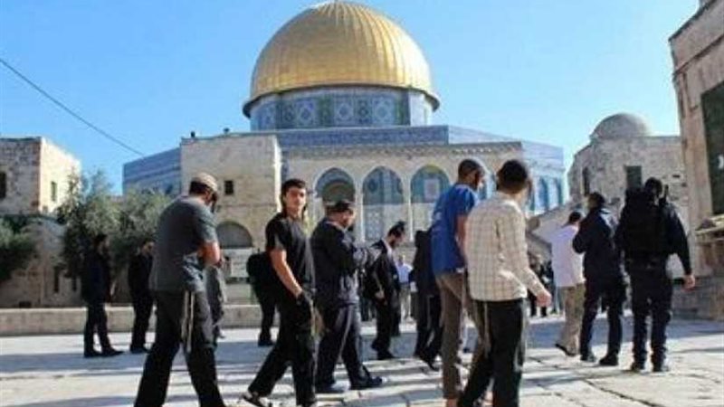 أكثر من 100 مستوطن