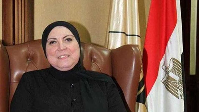 تنمية المشروعات: