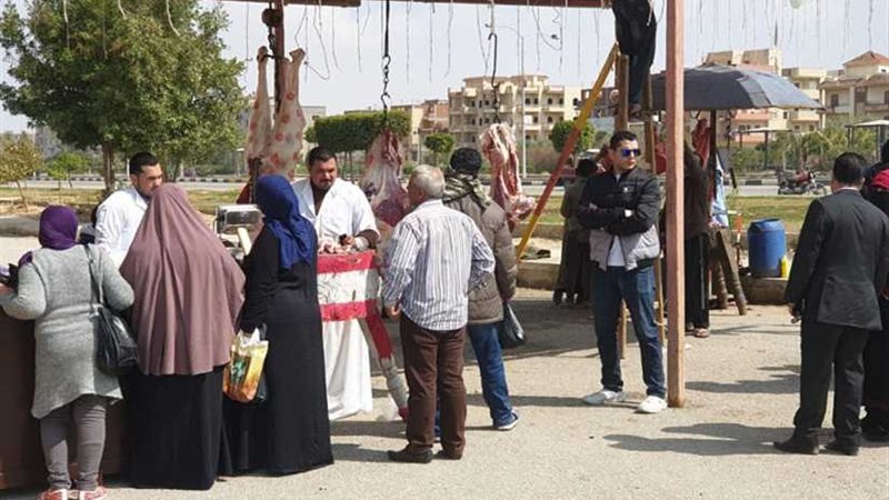 الحركة الوطنية يواصل