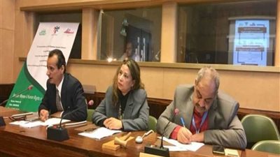 عاجل.. «الوفد الحقوقي المصري» بـ«جنيف» يفضح التمييز القطري الصارخ بين الرجل والمرأة