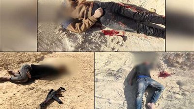 القوات المسلحة: القضاء على 46 إرهابيًا واستشهاد 3 جنود في وسط وشمال سيناء 