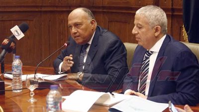 وزير الخارجية يدعو المجتمع الدولي للابتعاد عن انتهاج المعايير المزدوجة