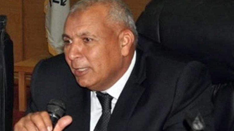 محافظ الوادي الجديد