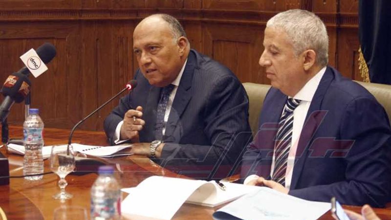 وزير الخارجية يدعو