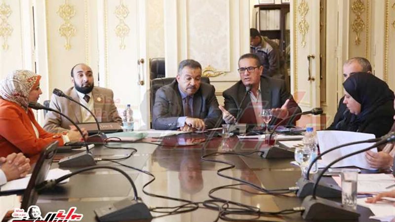 النواب يعيد تنظيم