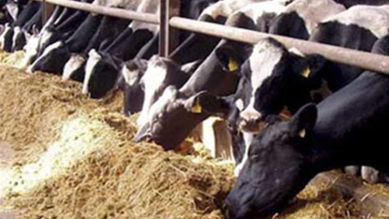 تحصين وترقيم 190