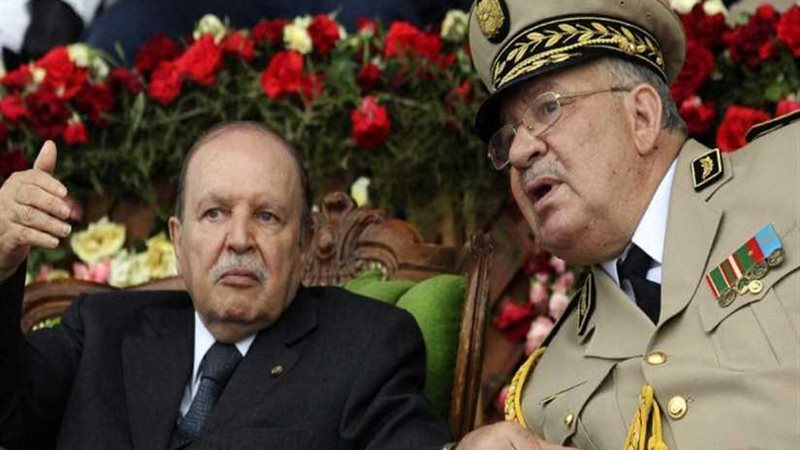 بوتفليقة يتلقى تقريرا