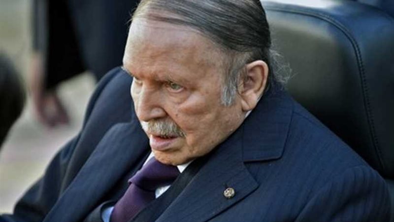 مظاهرات مؤيدة لقرارات