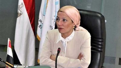 وزيرة البيئة تبحث مع شركاء التنمية تفعيل المبادرة المصرية لدمج الاتفاقيات الثلاث في نيروبي