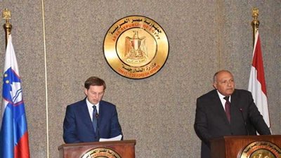 التحديات الأفريقية والأوروبية بجلسة مباحثات 