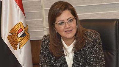 التخطيط: وضع خريطة للتحول الرقمى تبدأ بربط الجهات الحكومية