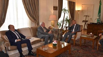 أبو الغيط: ما يجري في الأقصى استفزاز إسرائيلي مُتعمد