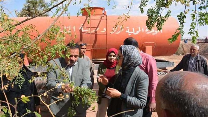 أول مزرعة لـالمورينجا