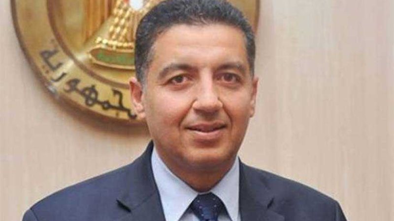 سفير مصر في فيينا