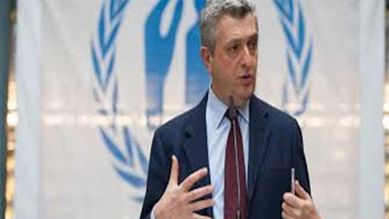 هجوم نيوزيلندا يصدم