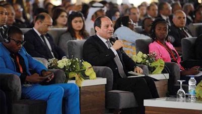 سلامة الجوهري: السيسي يسعى لتحقيق التكامل العربي- الإفريقي